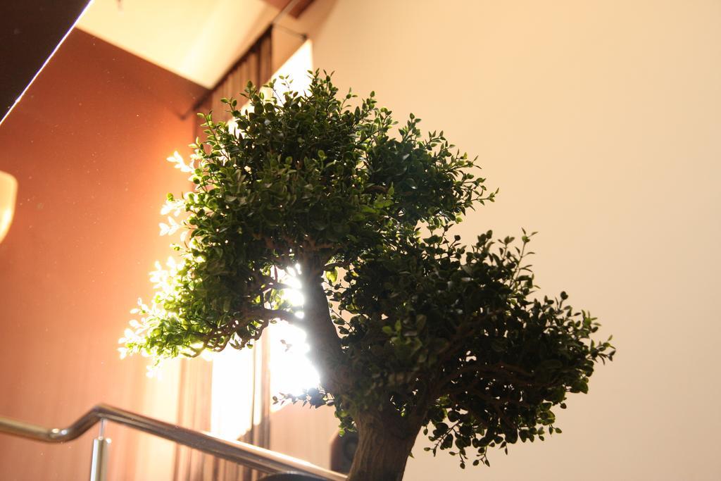 Rixo'S Guesthouse Circea 외부 사진